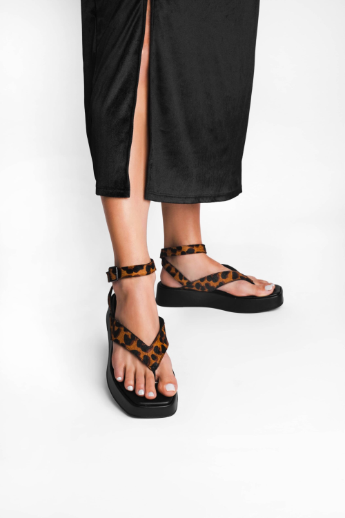 B66e3204 607f 11f0 A8c7 160ff7ef20c5